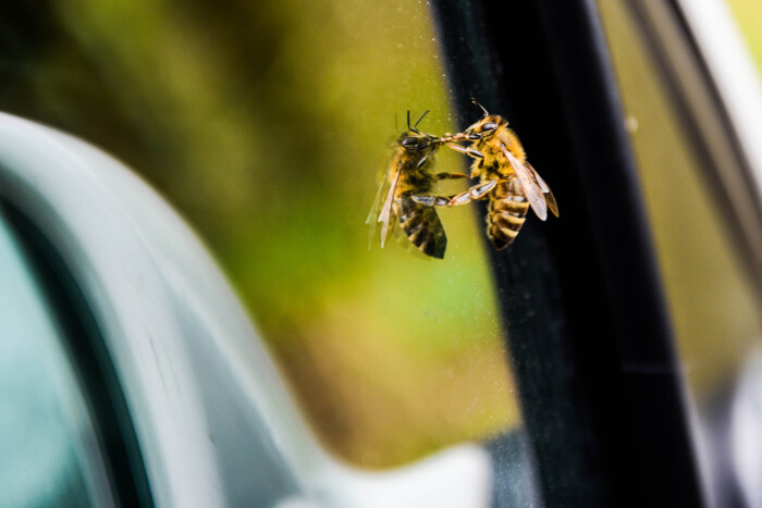 Veszélyre figyelmeztetnek a hazai szakemberek, így kerüld el a bajt