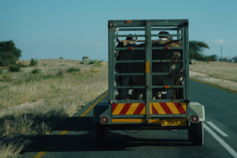 Bizarr jelenet zajlott egy hazai benzinkúton
