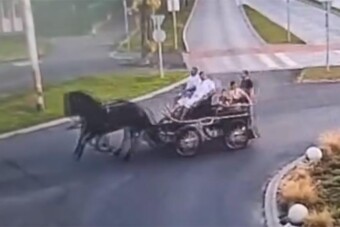 Óriási poén a magyar rendőrségtől, zseniális szöveget vágtak egy videó alá