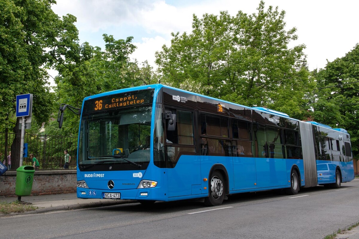A BKV több buszát is kitiltották a forgalomból