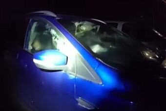 Két testes állat várta a dudálás miatt riasztott rendőröket