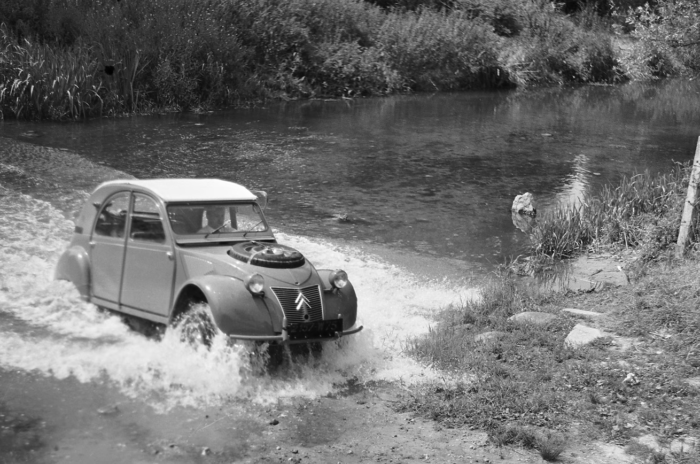 Két szíve volt az Afrikára tervezett Kacsának 2