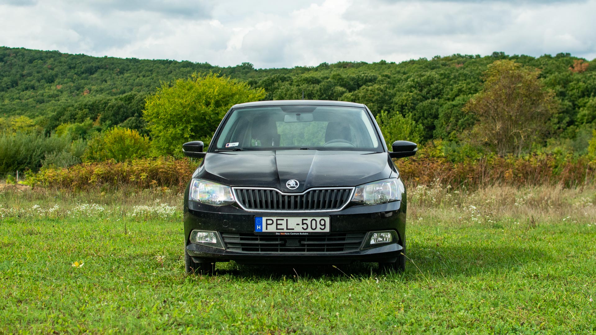 dsc_4558 | Vezess | Vezess