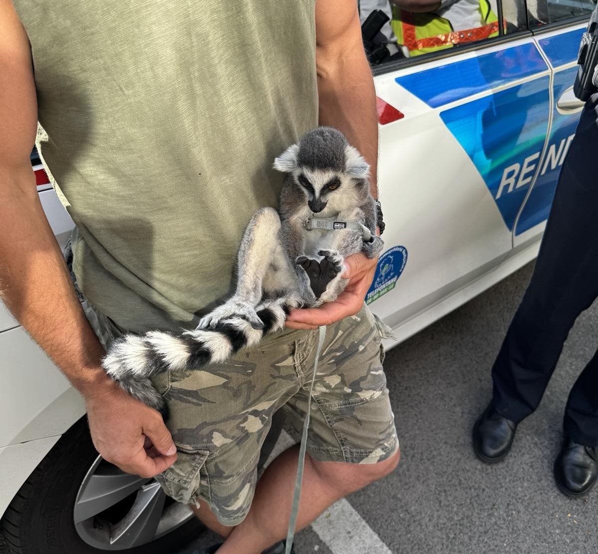 Őrület, mi került elő egy igazoltatásnál Budapesten 1 | Vezess Őrület, mi került elő egy igazoltatásnál Budapesten 1