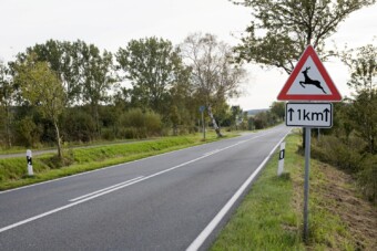 Szerelmesek hozhatnak bajt a hazai autósokra