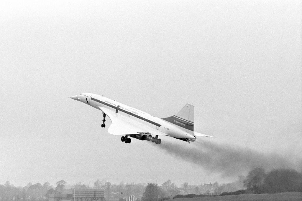 Concordemaiden flight | Vezess | Vezess