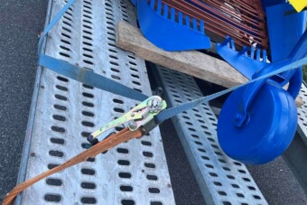 Gigamonstrumot találtak Fehérgyarmaton, a NAV-osok szava is elállt tőle