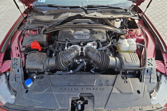 A legbarátságosabb 446 lóerő 14