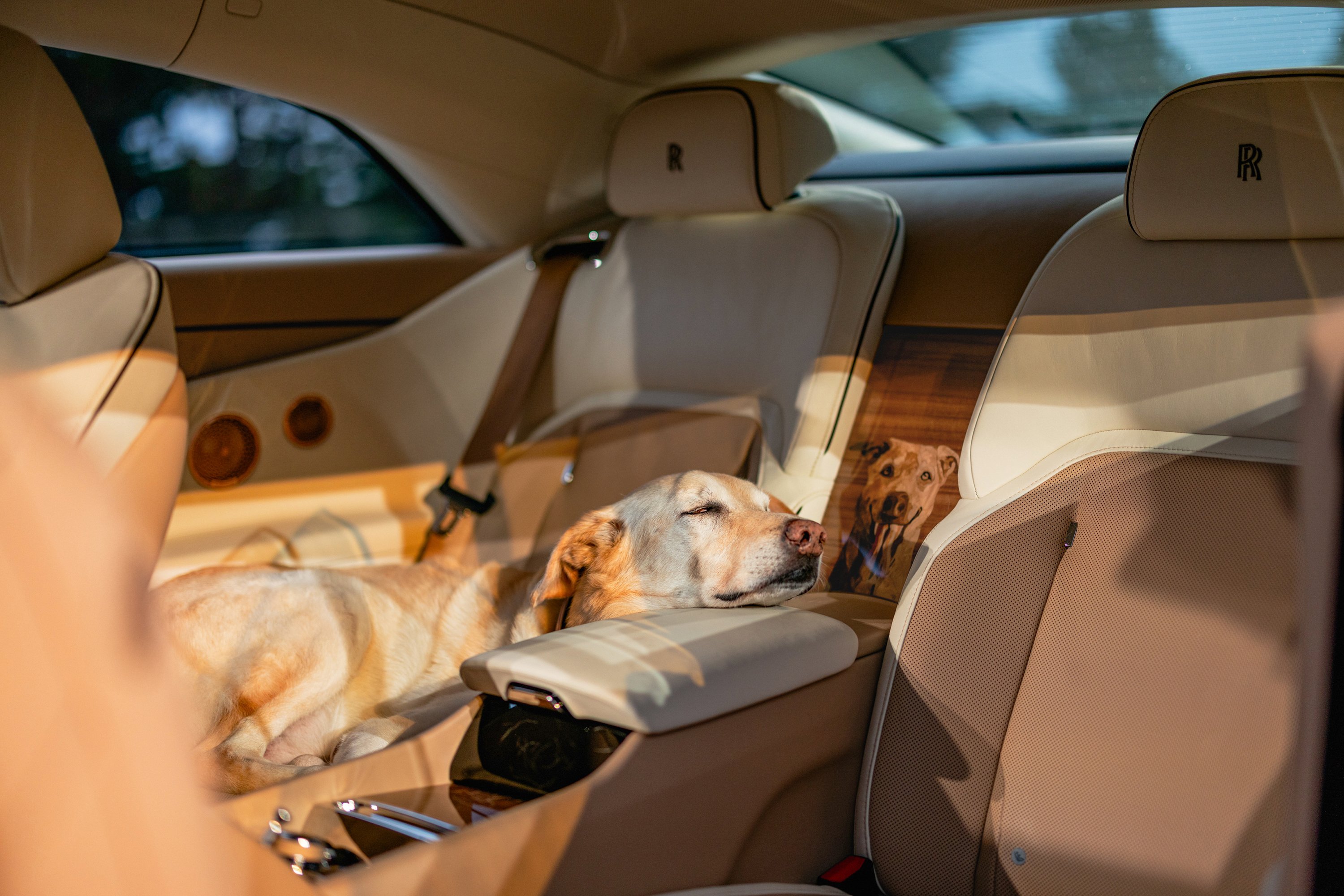 0-rolls-royce-spectre-bailey | Vezess | Vezess