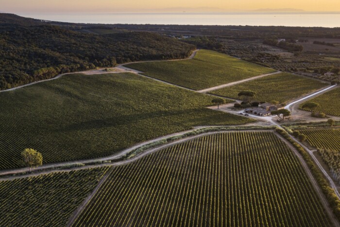 Ez az autó alkoholt hirdet 6