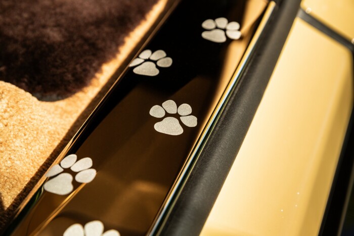 Kutyának készült méregdrága autó 8 | Vezess Kutyának készült méregdrága autó 8