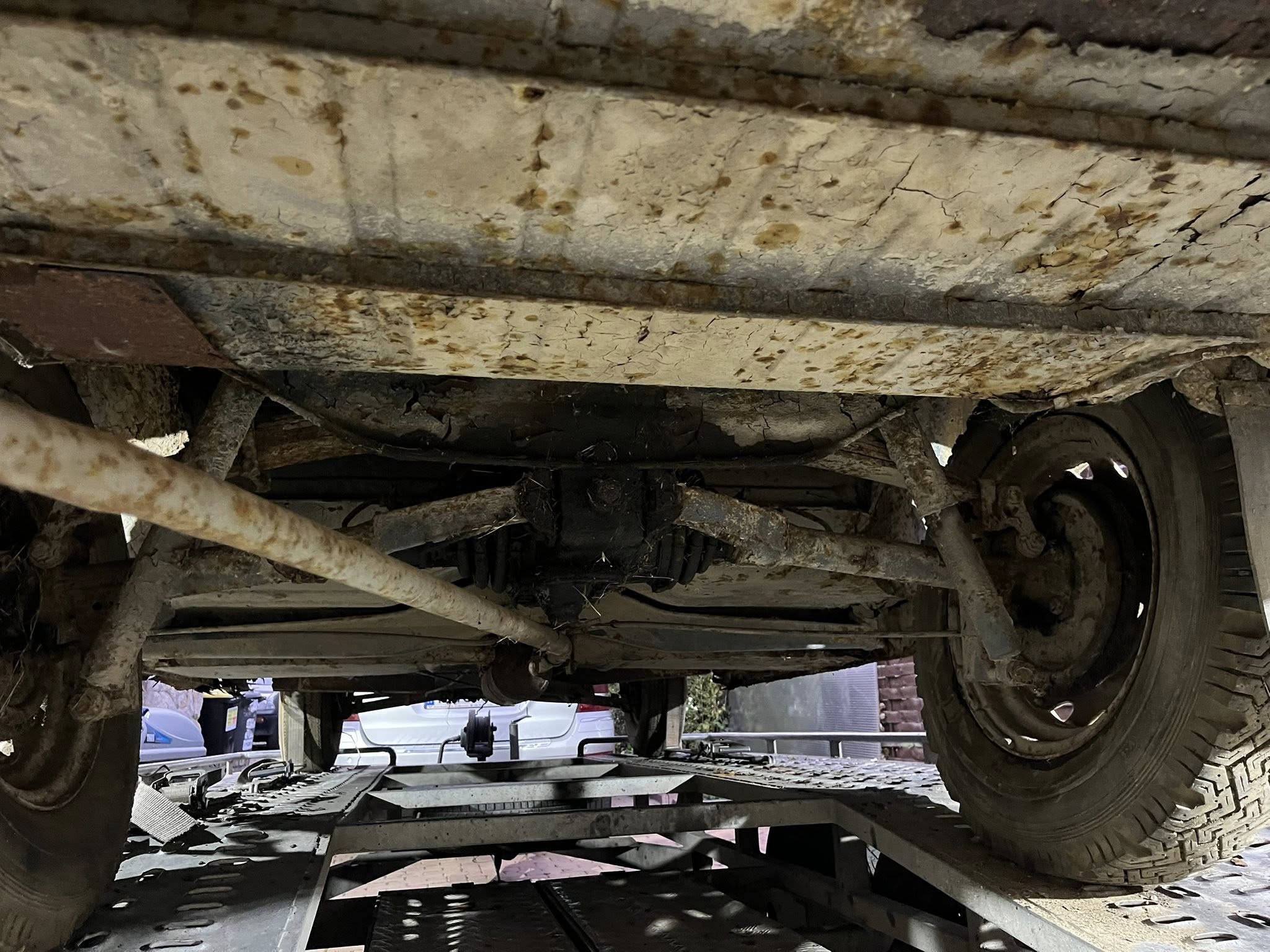 561176139_1154923906732548_8457503192106853725_n | Vezess | Vezess