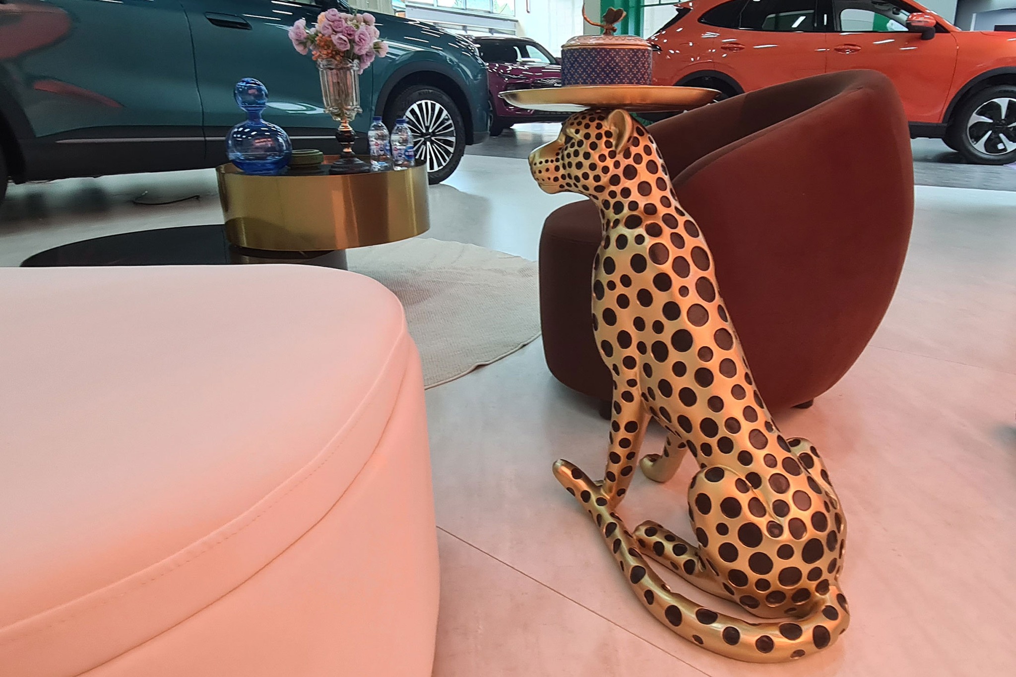 565120804_1258815702957112_7328062622216286414_n | Vezess | Vezess