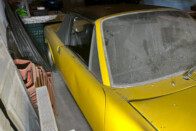 Igazi különlegességre bukkantak Pilismaróton, a méteres gazban 6 Igazi különlegességre bukkantak Pilismaróton, a méteres gazban 6