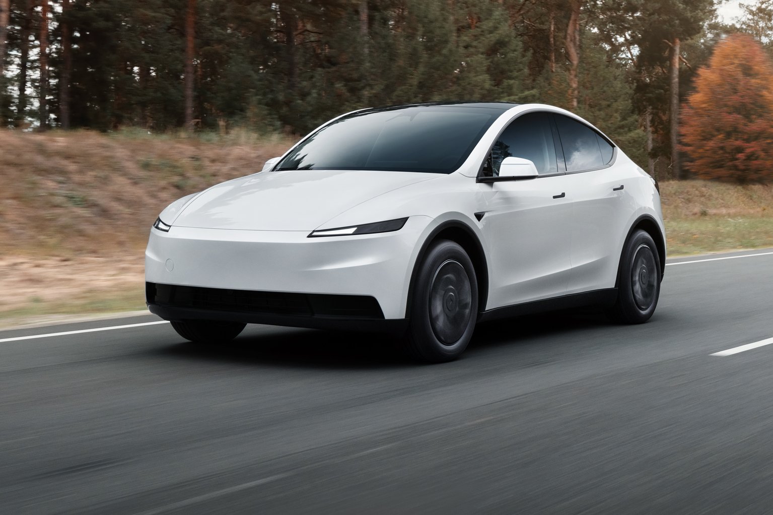 modelystandard_72 | Vezess | Vezess