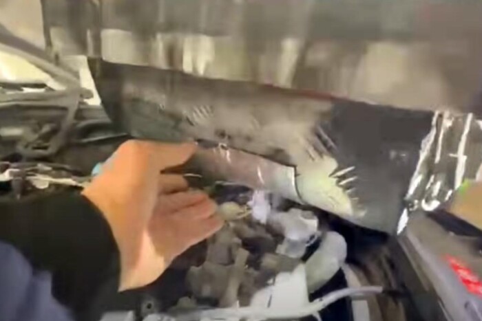 Döbbenetes dolgot rejtett egy Mercedes motorja az ukrán határon