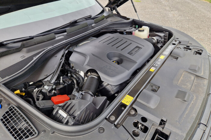 Simogató brutalitás 11