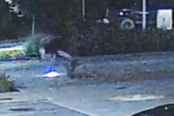 Brutálisan kijózanító videón egy hazai rolleres óriási pofára esése