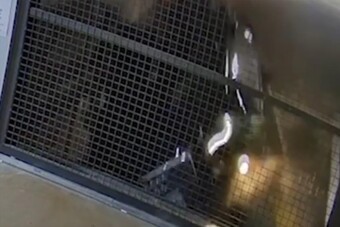 Három emelet magasból lökte ki az Audit egy automata parkolóház