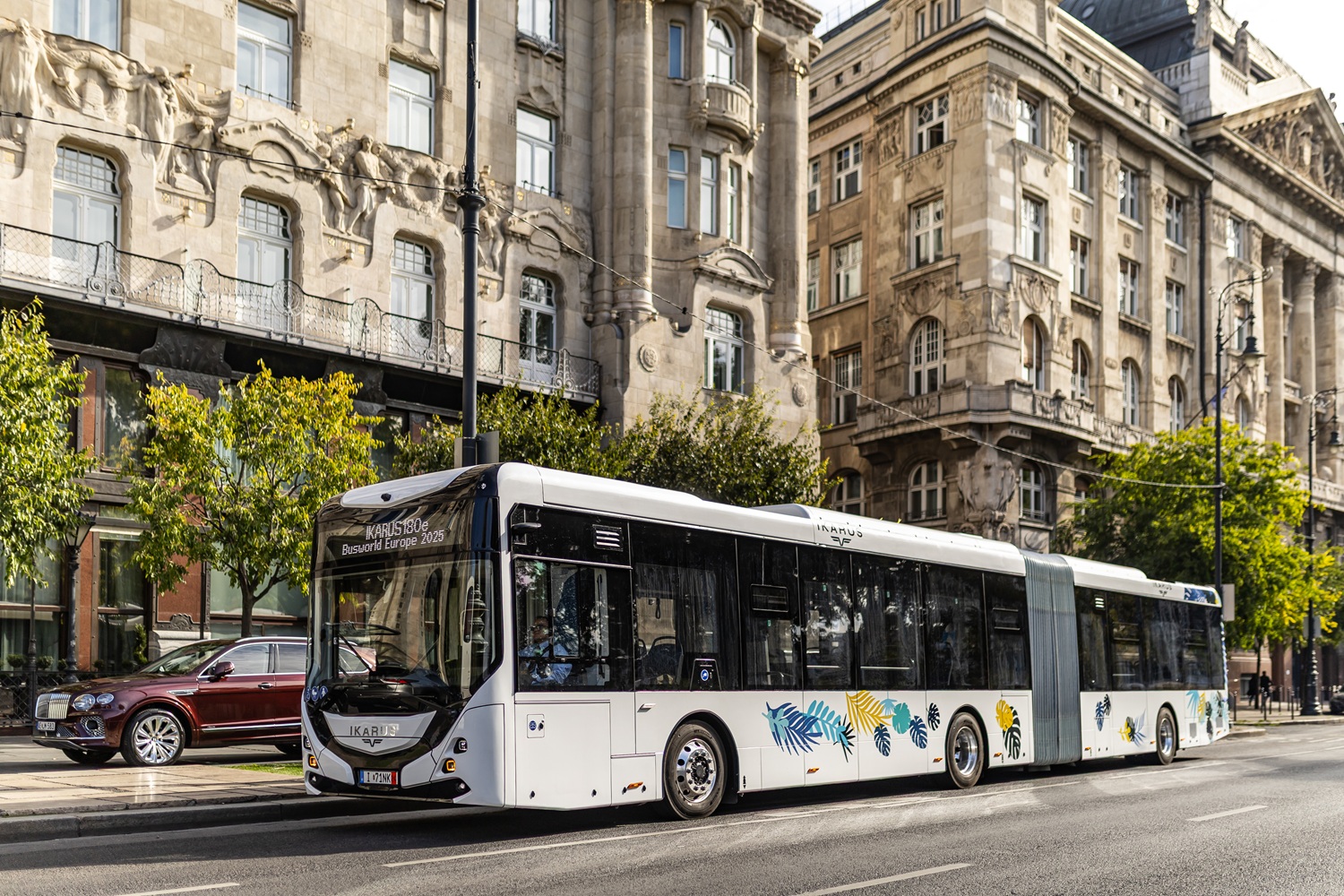 180_08 | Vezess | Vezess