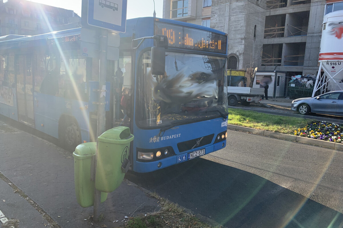 Példaértékű, amit egy magyar buszsofőr tett az iskolás gyerekekért