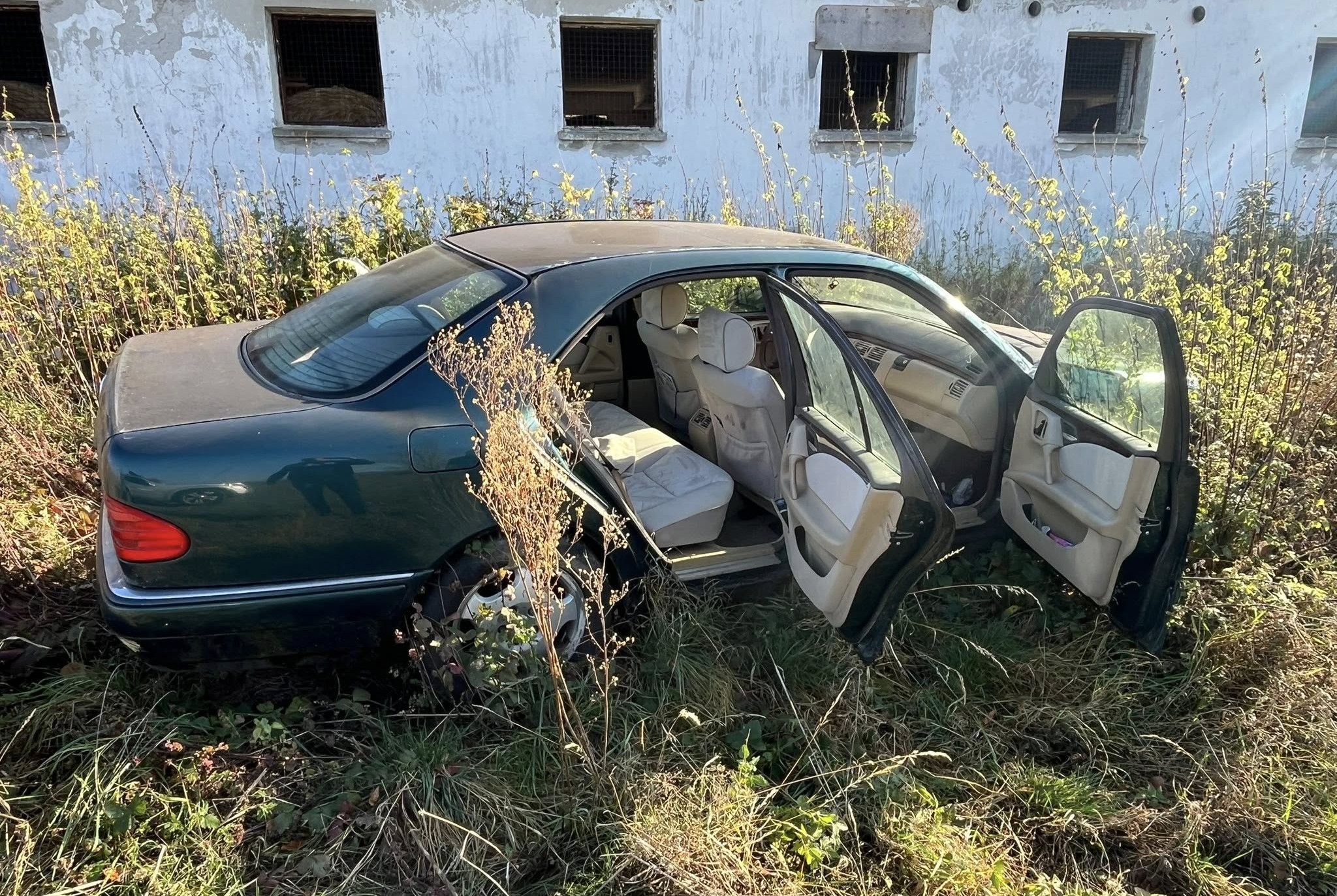 576993977_1172431831648422_8440580837763568691_n | Vezess | Vezess