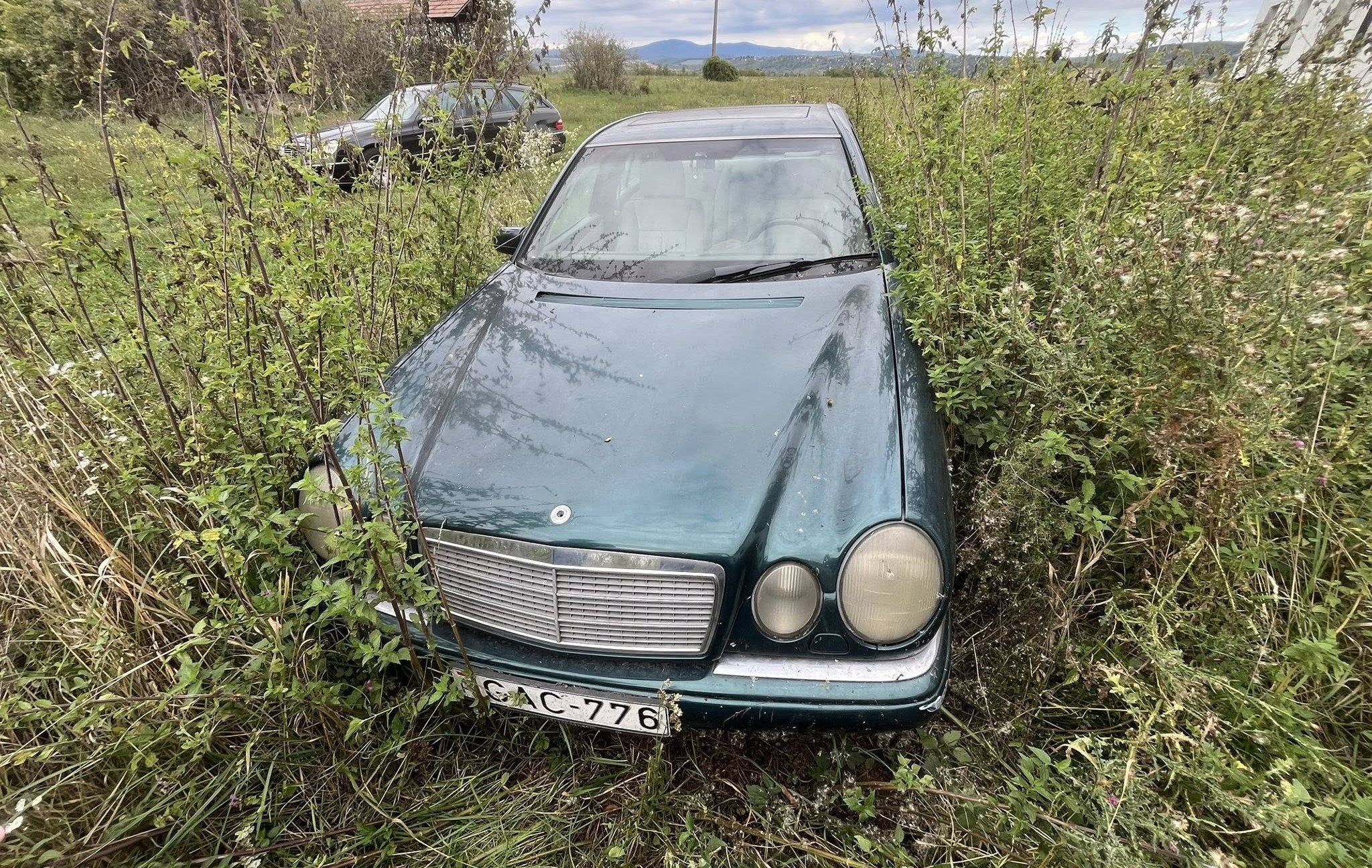 577013648_1172431384981800_5637152434590282223_n | Vezess | Vezess