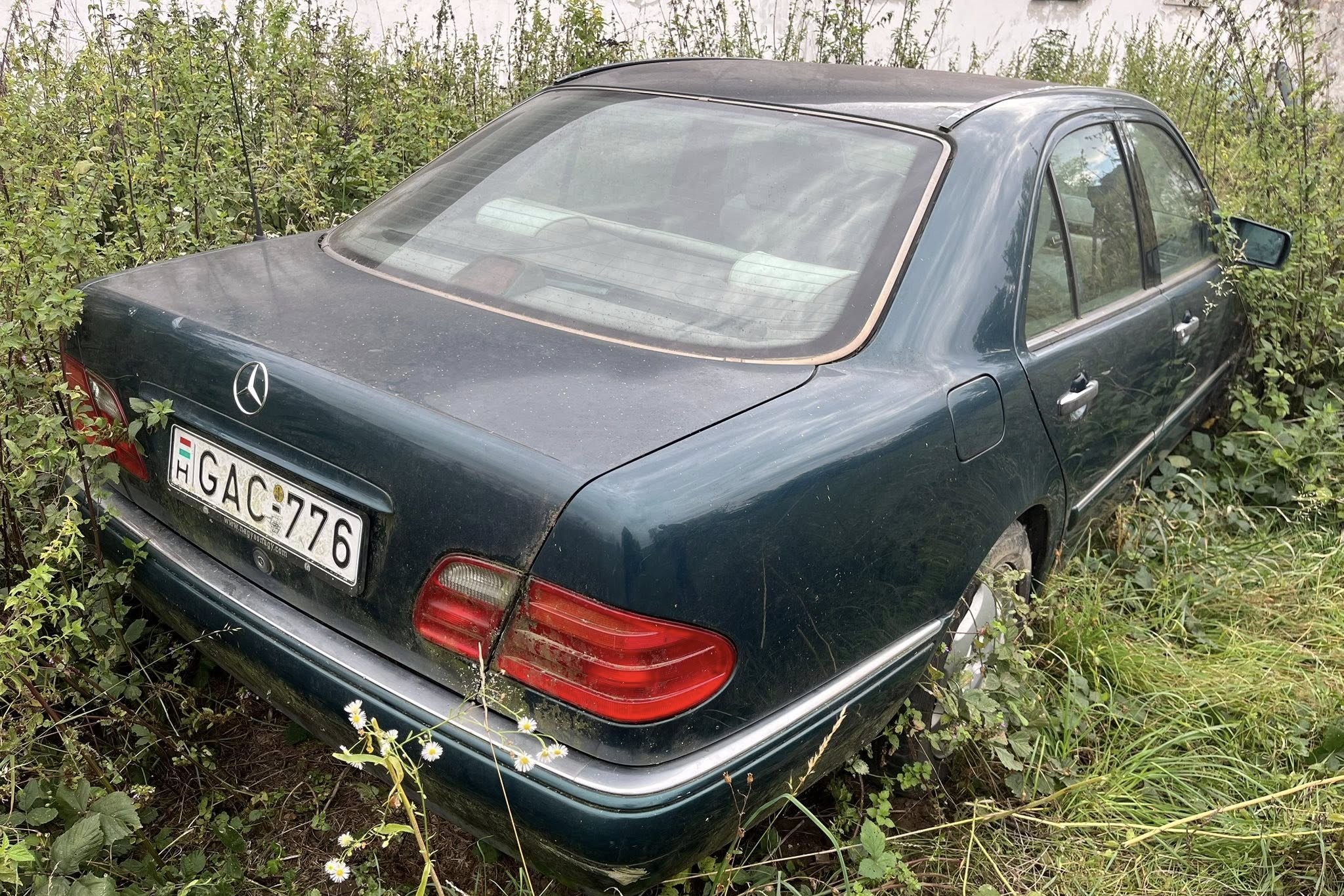 577593676_1172431601648445_4440275088023862519_n | Vezess | Vezess