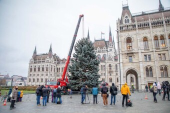 Itt az ország idei karácsonyfája, így érkezett meg Budapestre