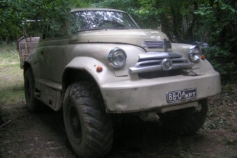 Eddig ismeretlen „fajt” fotóztak egy orosz erdőben