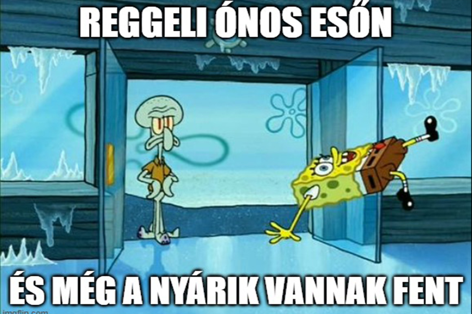 accruh | Vezess | Vezess