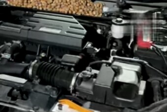 Furcsa zajokat hallott a motorból – aztán kiderült, mi zörög odabent