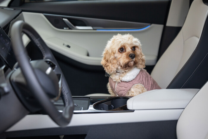 Gyarapodnak itthon a Vitara gondjai 8