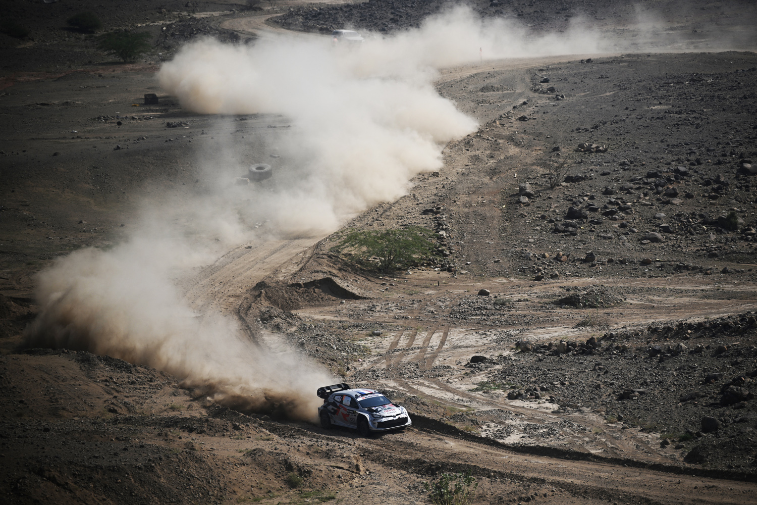 FIA World Rally WRC Rally Saudi Arabia 2025 | Vezess | Vezess