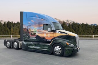 Óriási karácsonyfát kell húznia ennek a csőrősnek