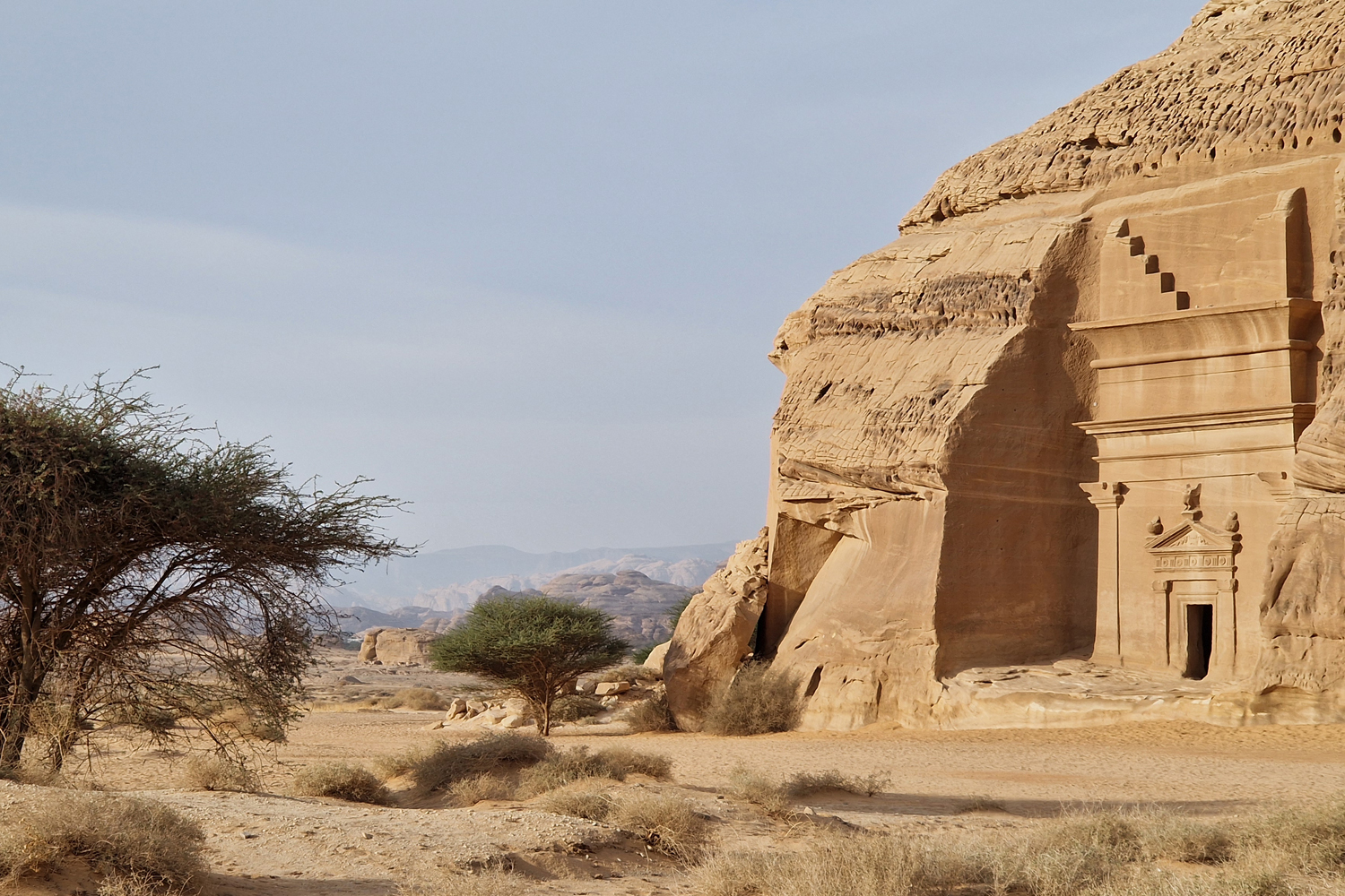 20251201_084145 | Vezess | Vezess