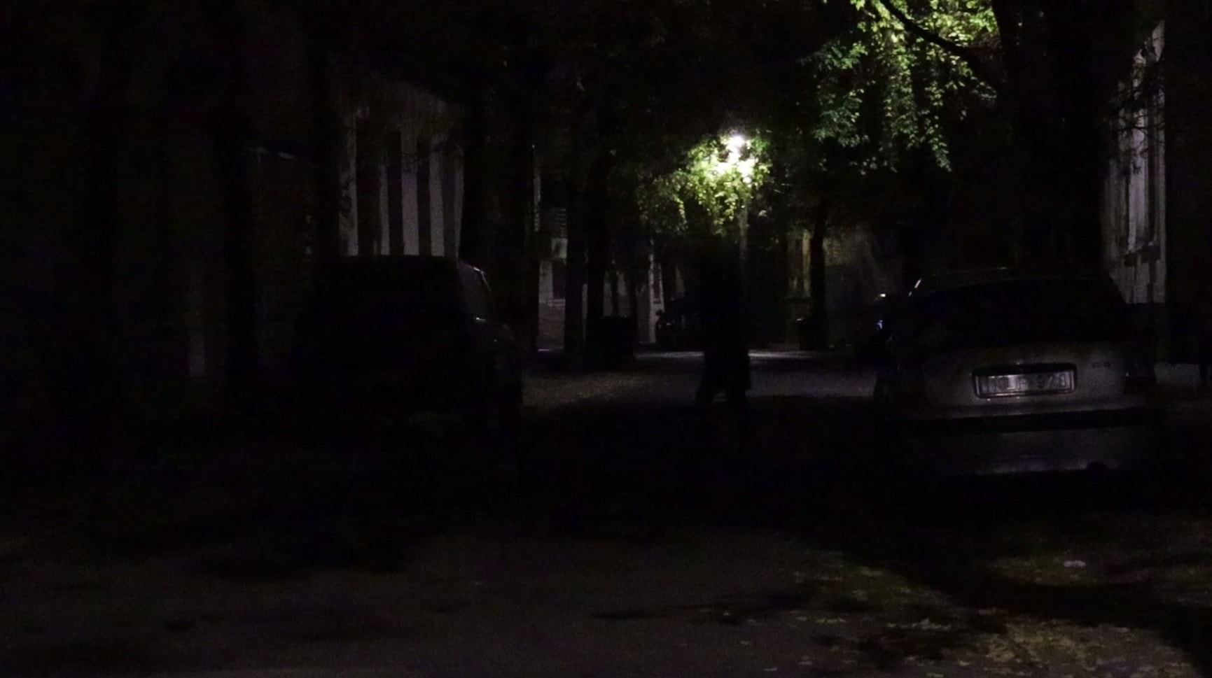 597669430_784036104653776_5490437477242131845_n | Vezess | Vezess