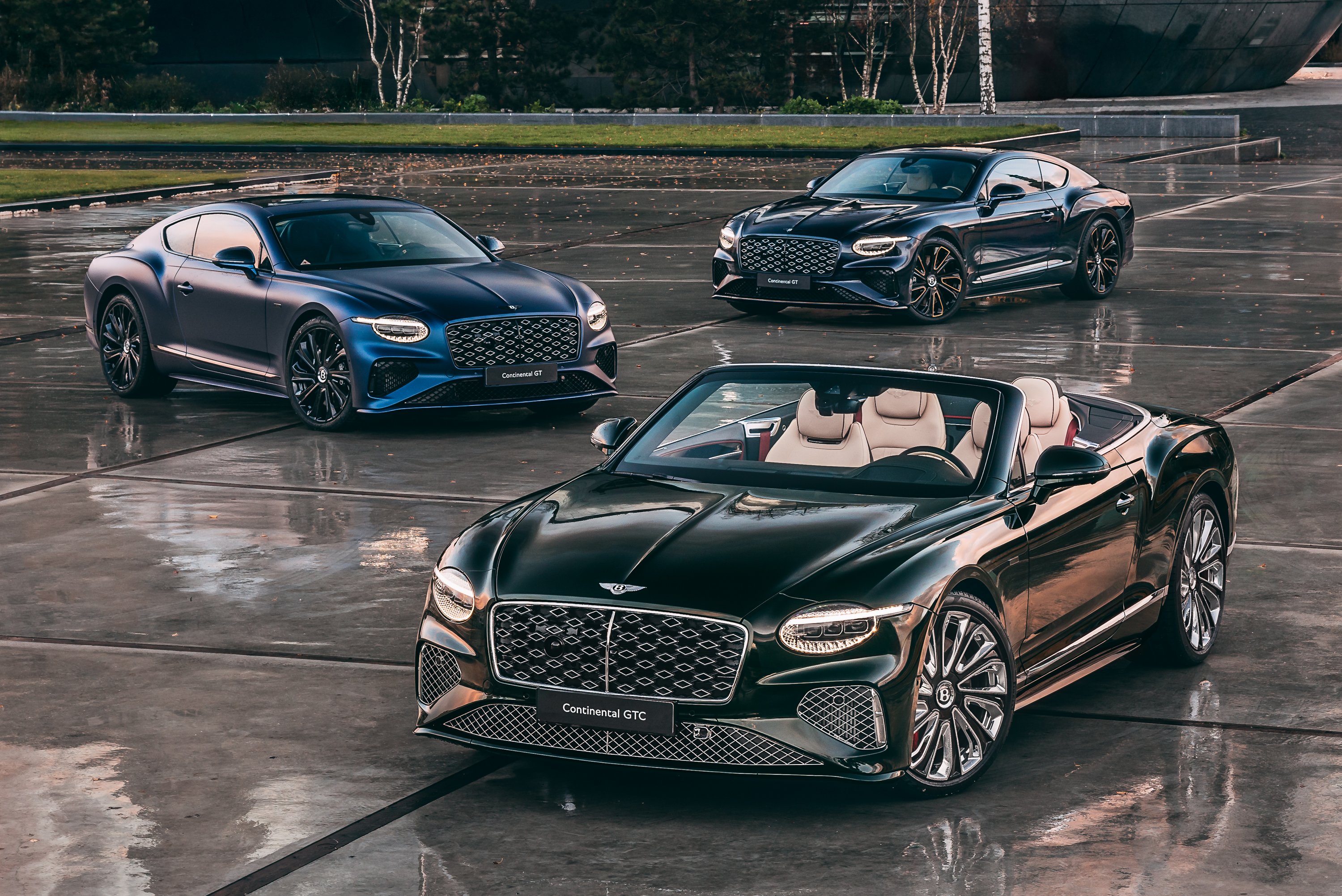 dutch-masters-1 | Vezess | Vezess