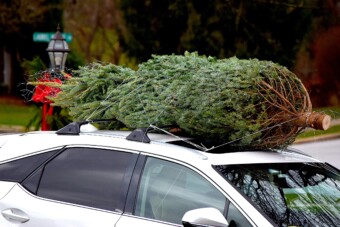 Büntethet a rendőr, ha így viszed a karácsonyfát