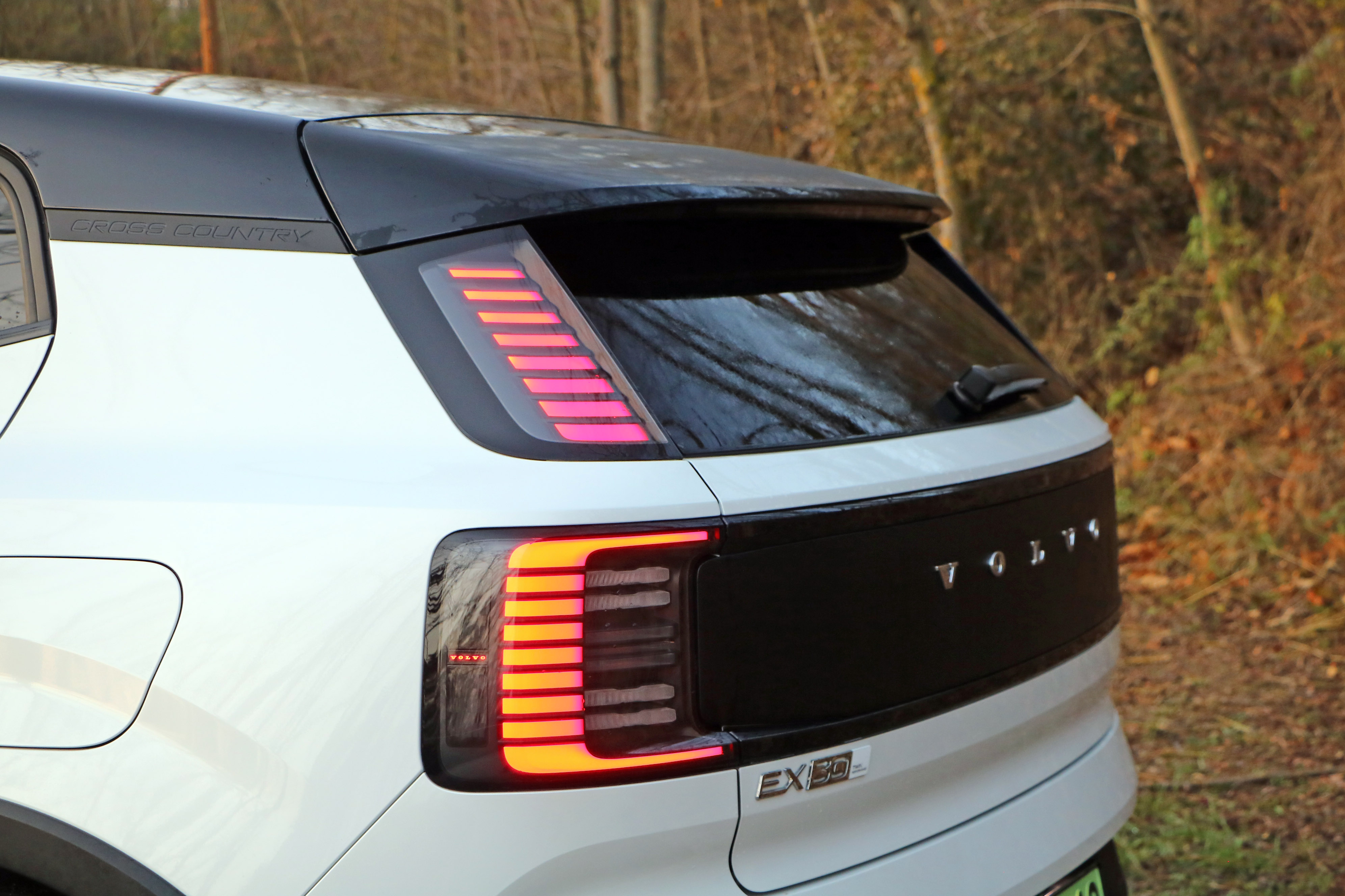 img_2377 | Vezess | Vezess