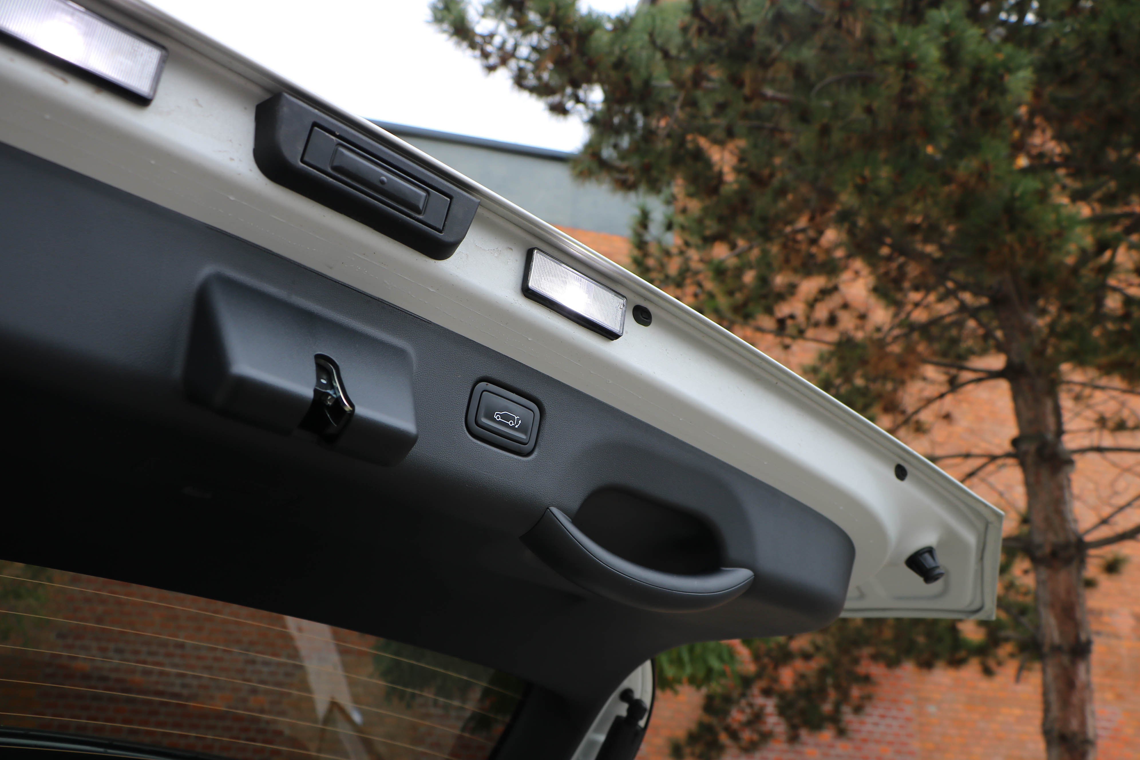 img_2676 | Vezess | Vezess