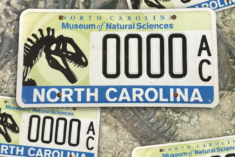 A világ legmenőbb rendszámtábláját kapja néhány autós