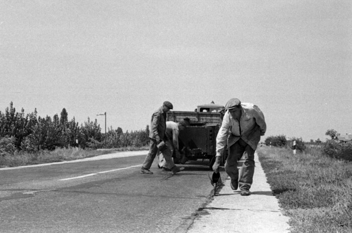 100 éve velünk vannak hiába tömjük őket minden tél végén 9 100 éve velünk vannak hiába tömjük őket minden tél végén 9