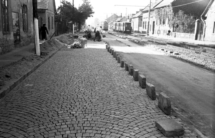 100 éve velünk vannak hiába tömjük őket minden tél végén 6 100 éve velünk vannak hiába tömjük őket minden tél végén 6