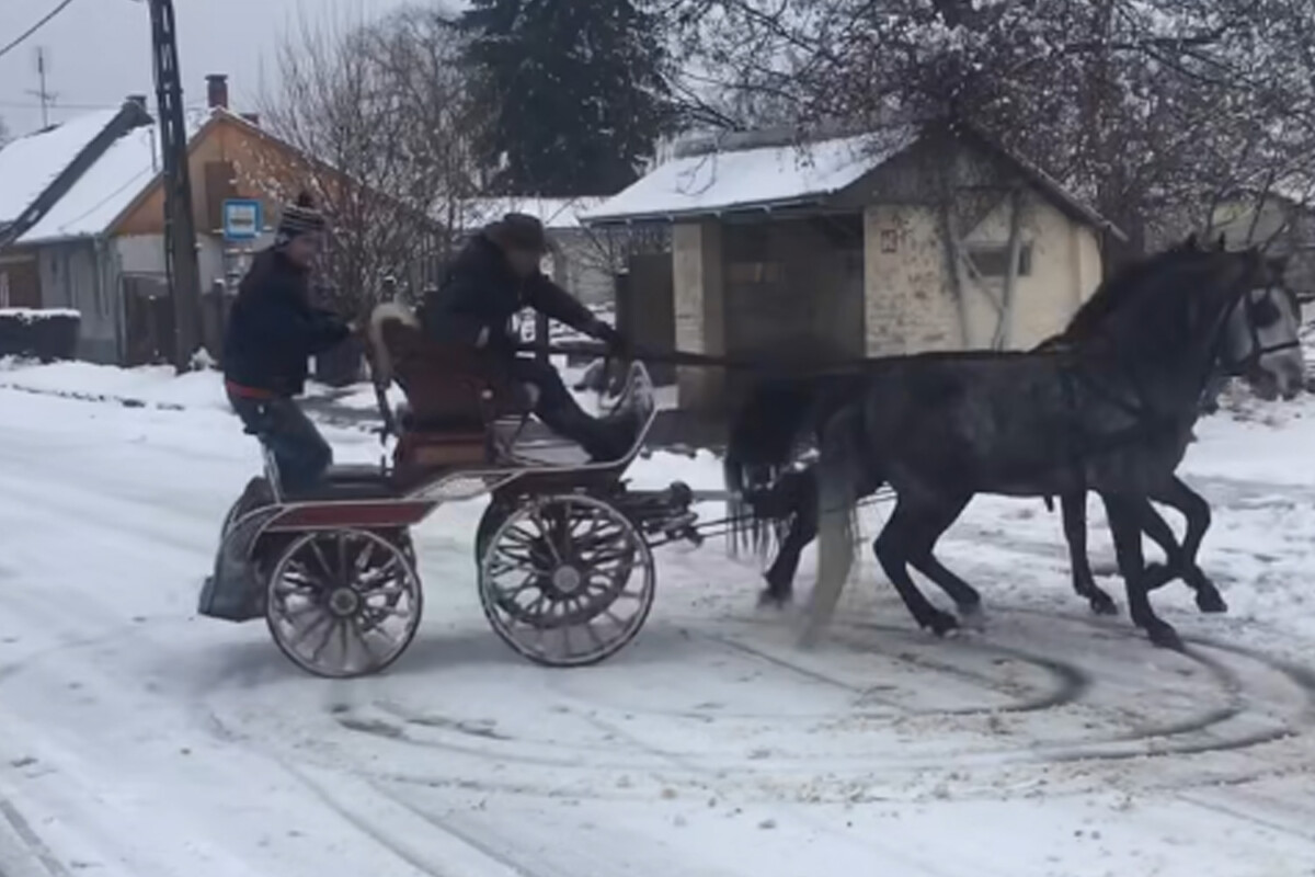 Kegyetlenül csapattak a hóban egy lovasfogattal itthon