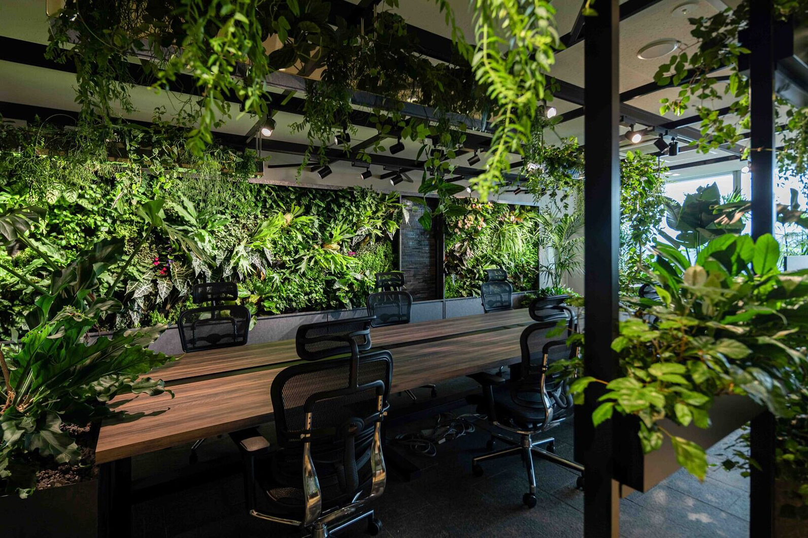 toyota-husevo-noveny-kutatas-8 | Vezess | Vezess