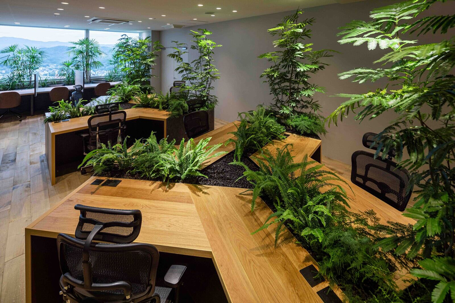 toyota-husevo-noveny-kutatas-9 | Vezess | Vezess