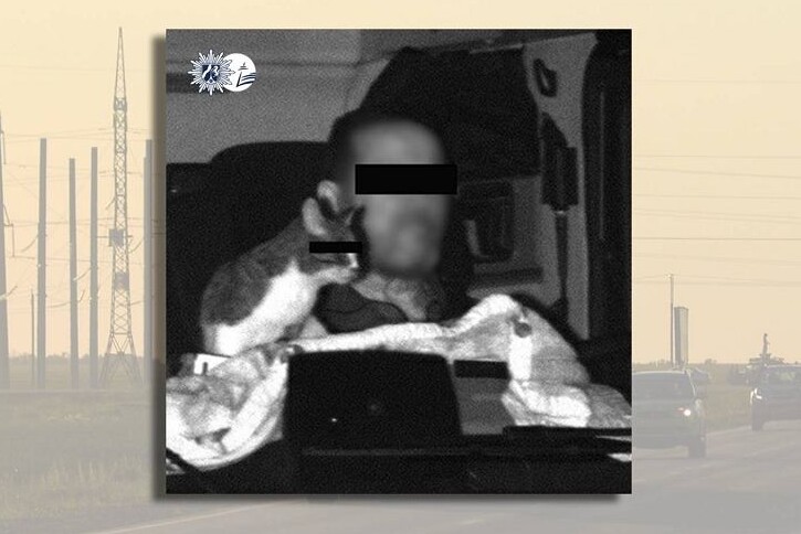 Macskával az úton: lefotózta a traffipax, jöttek a büntetések