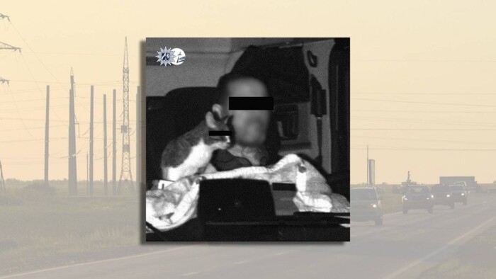 Macskával az úton: lefotózta a traffipax, jöttek a büntetések 1