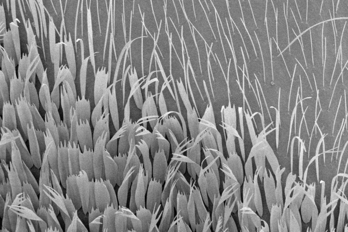 Életet mentett a benzin megváltoztatása 2